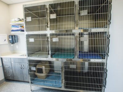 Take a Tour - Shakopee Veterinary Clinic